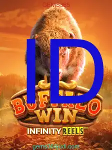 BuffaloWin
